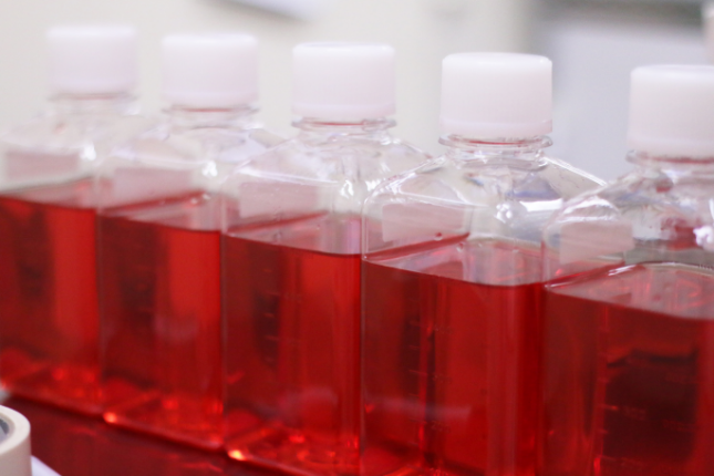 その他の培地画像